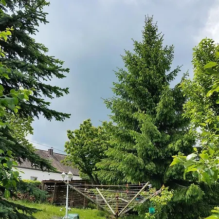 Ferien Im Dorf 公寓 Bleckhausen