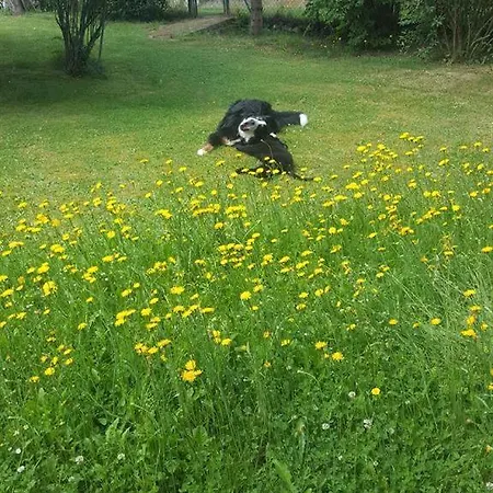 Ferien Im Dorf Bleckhausen