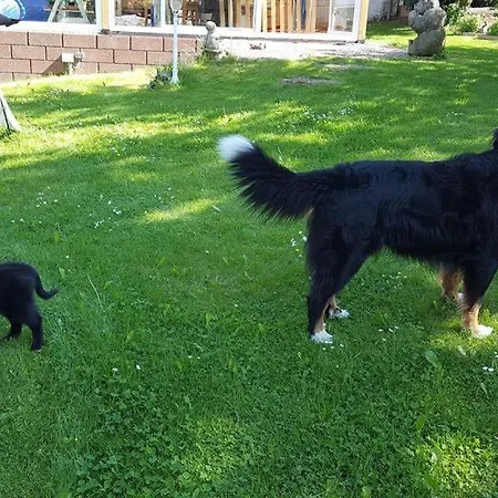 Ferien Im Dorf شقة